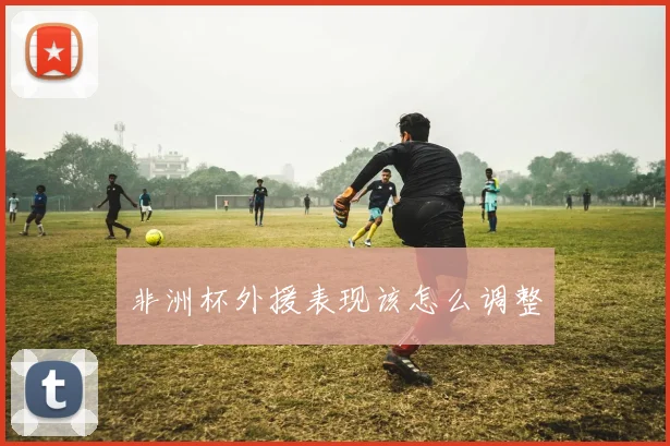 非洲杯外援表现该怎么调整