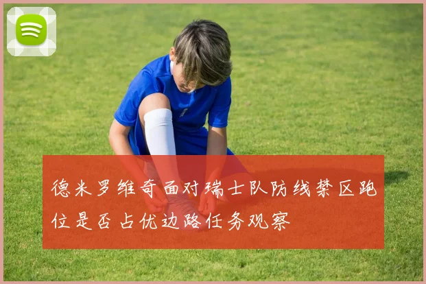 德米罗维奇面对瑞士队防线禁区跑位是否占优边路任务观察