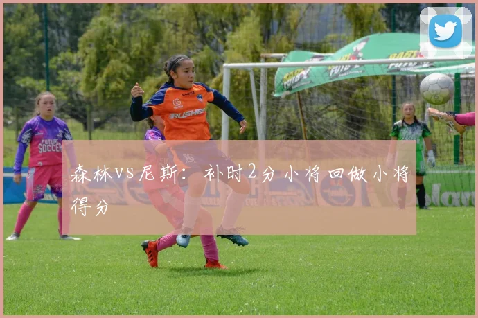 森林vs尼斯:补时2分小将回做小将得分