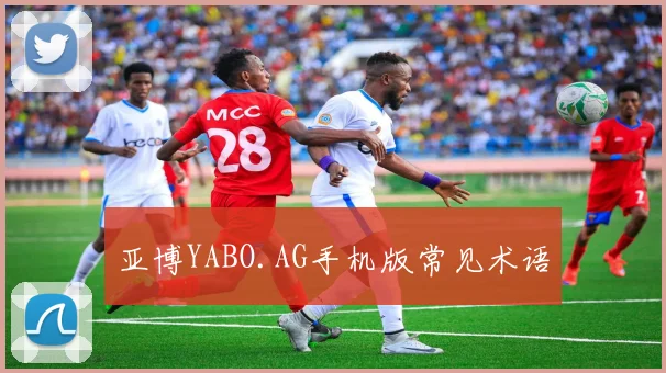 亚博YABO.AG手机版常见术语