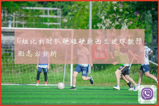G组比利时队硬碰硬新西兰进球数预测怎么分析