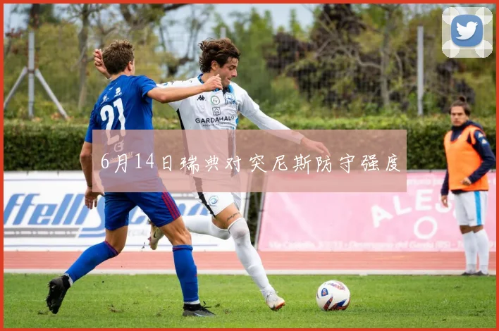 6月14日瑞典对突尼斯防守强度
